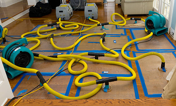 Professional Crawl Space Water Removal technician working in Winnie, TX